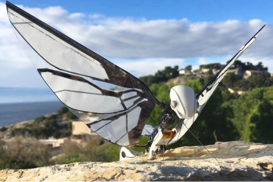 MetaFly, l’objet volant comme un oiseau conçu en France – Loisirs