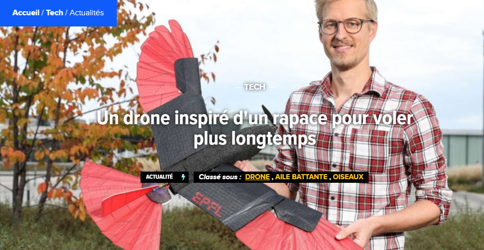 Un drone inspiré d’un rapace pour voler plus longtemps